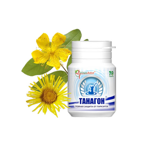 ТАНАГОН №70
